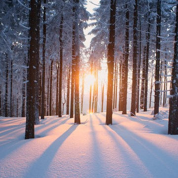 winter